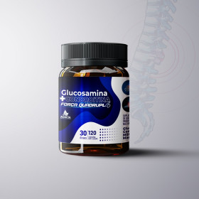 GLUCOSAMINA 1500mg + CONDROITINA 1200mg + MSM + Mn (30 doses / 120 cápsulas)